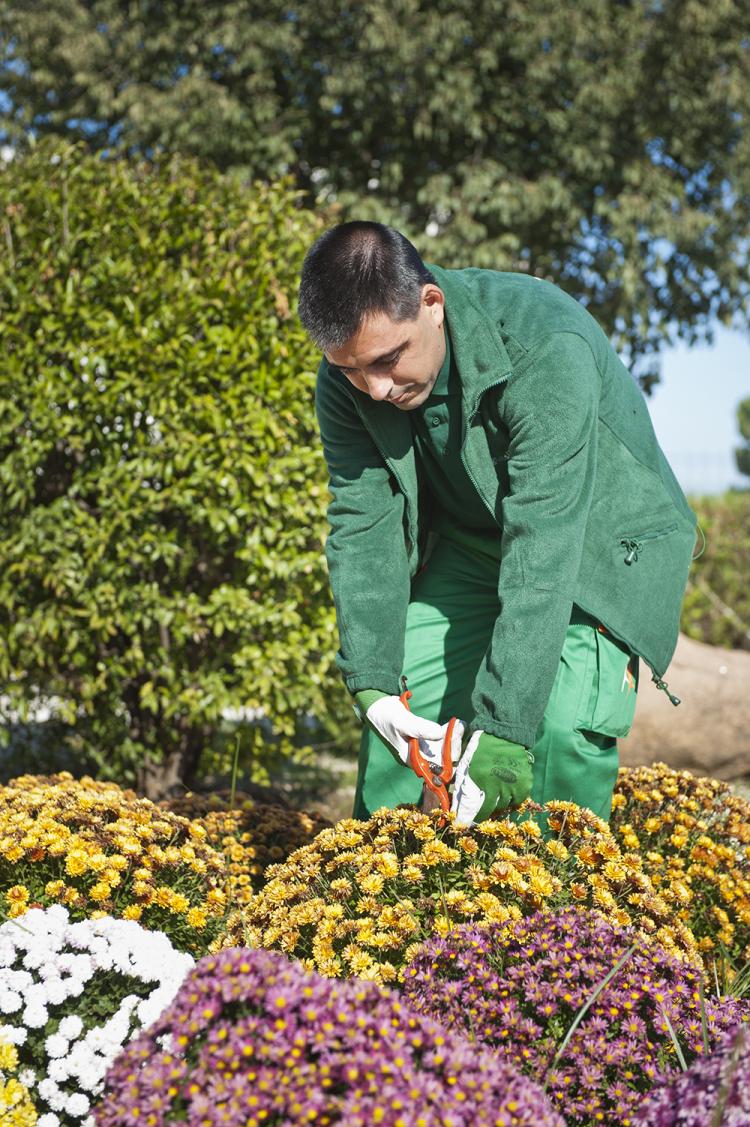 Un employé du Groupe SIFU dans des tâches de jardinage