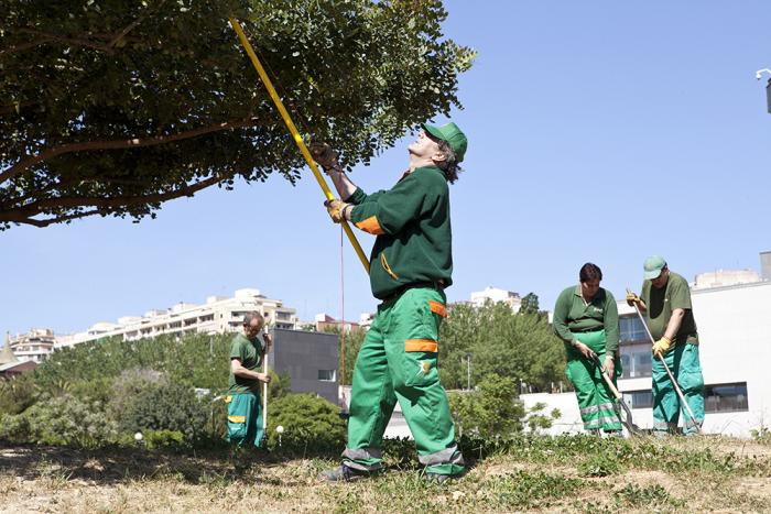 Plusieurs jardiniers du Groupe SIFU effectuant des tâches de nettoyage dans une zone forestière